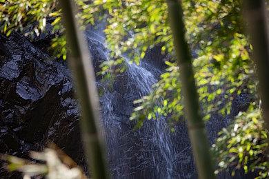 复古动作冒险游戏《九夜：刺狼》Steam页面上线 发售日期待定