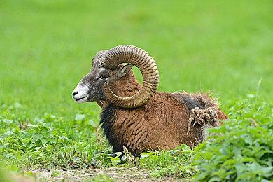 《战地6》开发者：重视玩家反馈，但不能让玩家设计游戏